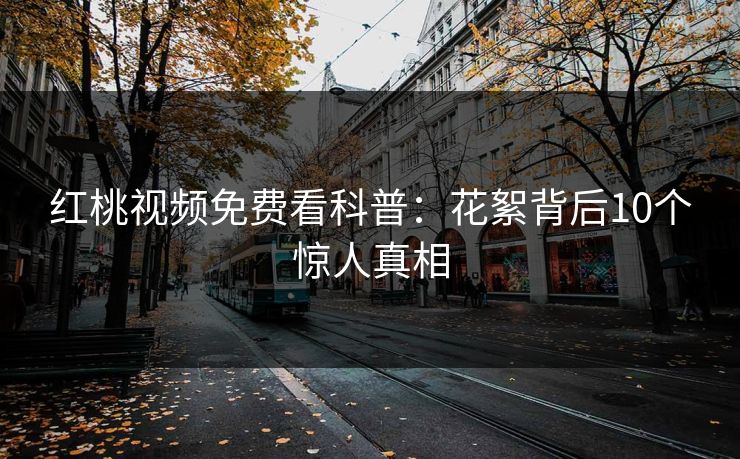 红桃视频免费看科普：花絮背后10个惊人真相