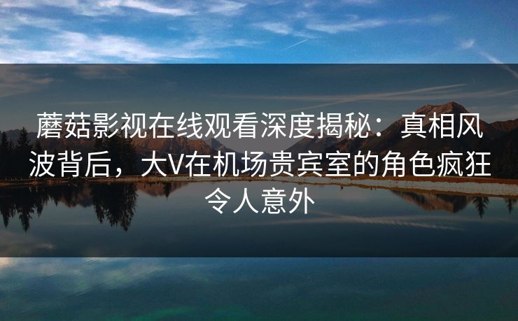 蘑菇影视在线观看深度揭秘:真相风波背后,大V在机场贵宾室的角色疯狂令人意外 蘑菇影视在线观看深度揭秘:真相风波背后,大V在机场贵宾室的角色疯狂令人意外