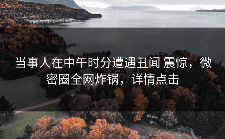 当事人在中午时分遭遇丑闻 震惊，微密圈全网炸锅，详情点击