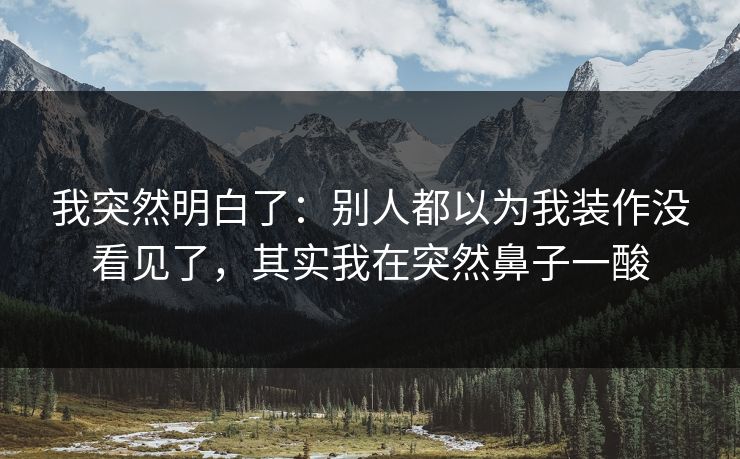 我突然明白了：别人都以为我装作没看见了，其实我在突然鼻子一酸